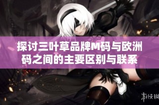 探讨三叶草品牌M码与欧洲码之间的主要区别与联系