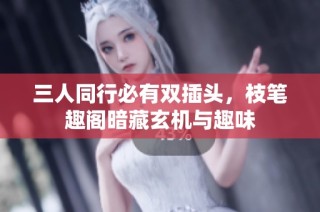 三人同行必有双插头，枝笔趣阁暗藏玄机与趣味