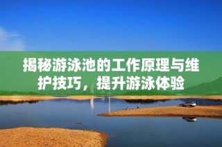 揭秘游泳池的工作原理与维护技巧，提升游泳体验