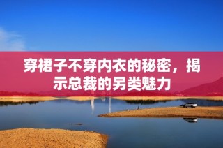 穿裙子不穿内衣的秘密，揭示总裁的另类魅力