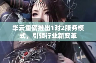 华云重磅推出1对2服务模式，引领行业新变革