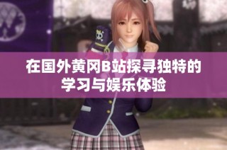 在国外黄冈B站探寻独特的学习与娱乐体验