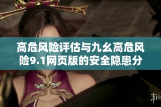 高危风险评估与九幺高危风险9.1网页版的安全隐患分析