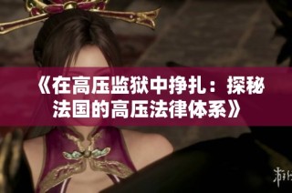 《在高压监狱中挣扎：探秘法国的高压法律体系》