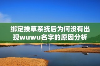 绑定挨草系统后为何没有出现wuwu名字的原因分析