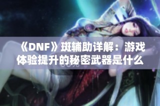 《DNF》斑辅助详解：游戏体验提升的秘密武器是什么？