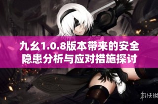 九幺1.0.8版本带来的安全隐患分析与应对措施探讨