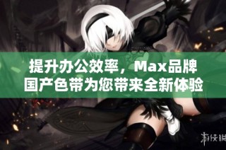 提升办公效率，Max品牌国产色带为您带来全新体验