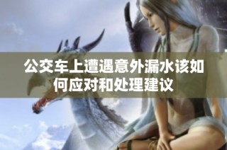 公交车上遭遇意外漏水该如何应对和处理建议