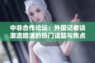 中非合作论坛：外国记者谈激流暗涌的热门话题与焦点关切
