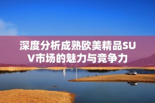 深度分析成熟欧美精品SUV市场的魅力与竞争力