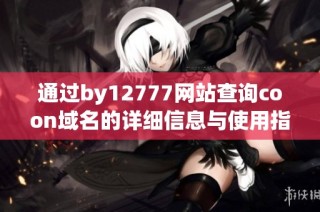 通过by12777网站查询coon域名的详细信息与使用指南
