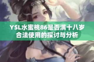 YSL水蜜桃86是否满十八岁合法使用的探讨与分析