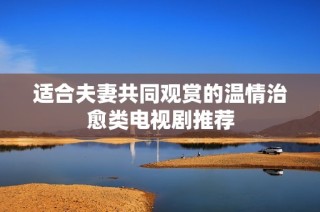 适合夫妻共同观赏的温情治愈类电视剧推荐