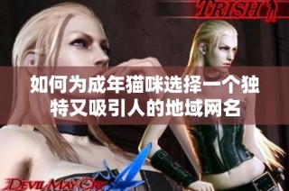 如何为成年猫咪选择一个独特又吸引人的地域网名