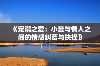 《宠溺之爱：小晏与情人之间的情感纠葛与抉择》