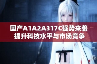 国产A1A2A317C强势来袭 提升科技水平与市场竞争力