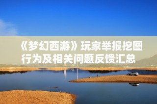 《梦幻西游》玩家举报挖图行为及相关问题反馈汇总