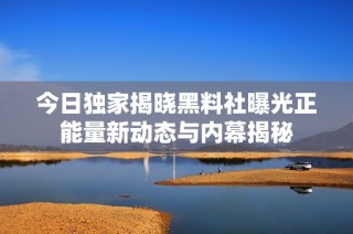 今日独家揭晓黑料社曝光正能量新动态与内幕揭秘
