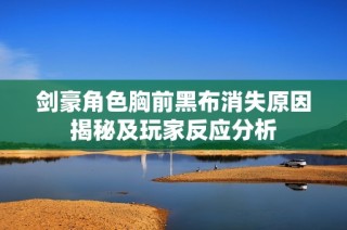 剑豪角色胸前黑布消失原因揭秘及玩家反应分析
