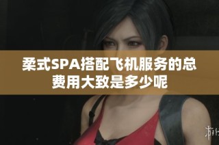 柔式SPA搭配飞机服务的总费用大致是多少呢