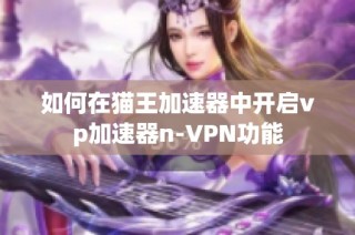 如何在猫王加速器中开启vp加速器n-VPN功能