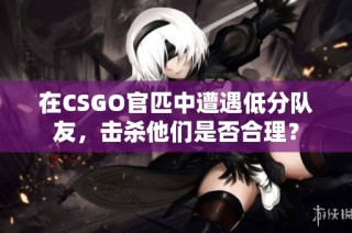 在CSGO官匹中遭遇低分队友，击杀他们是否合理？