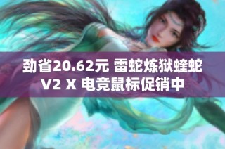 劲省20.62元 雷蛇炼狱蝰蛇V2 X 电竞鼠标促销中