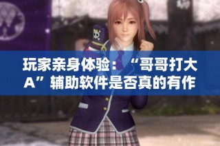 玩家亲身体验：“哥哥打大A”辅助软件是否真的有作弊功能？