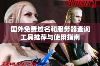 国外免费域名和服务器查询工具推荐与使用指南