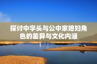 探讨中字头与公中家媳妇角色的差异与文化内涵