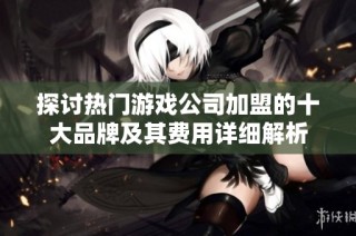 探讨热门游戏公司加盟的十大品牌及其费用详细解析