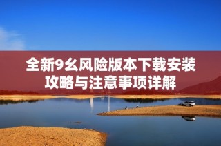 全新9幺风险版本下载安装攻略与注意事项详解