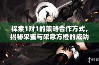探索1对1的策略合作方式，揭秘采蜜与采意方橙的成功秘诀