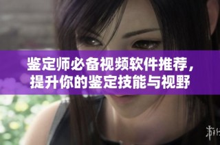 鉴定师必备视频软件推荐，提升你的鉴定技能与视野