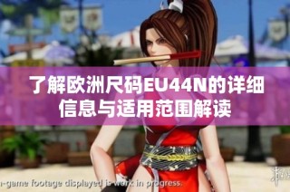 了解欧洲尺码EU44N的详细信息与适用范围解读