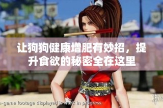让狗狗健康增肥有妙招，提升食欲的秘密全在这里