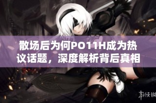 散场后为何PO11H成为热议话题，深度解析背后真相