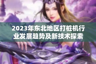 2023年东北地区打桩机行业发展趋势及新技术探索