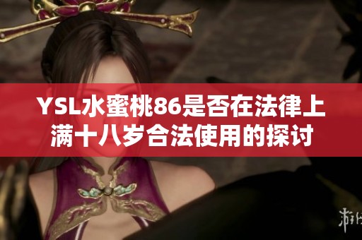 YSL水蜜桃86是否在法律上满十八岁合法使用的探讨