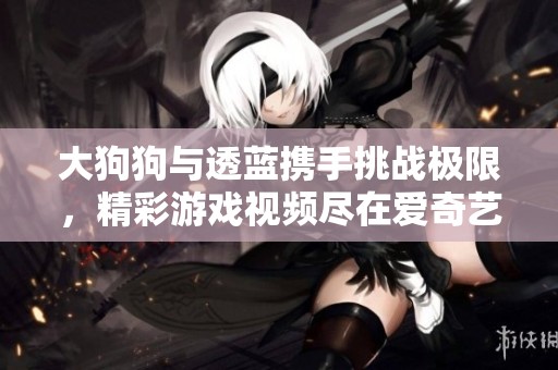 大狗狗与透蓝携手挑战极限，精彩游戏视频尽在爱奇艺！