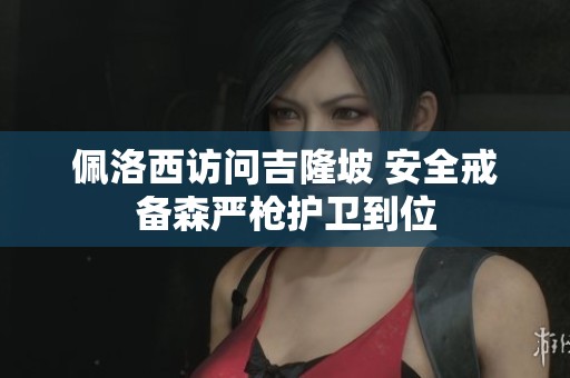 佩洛西访问吉隆坡 安全戒备森严枪护卫到位