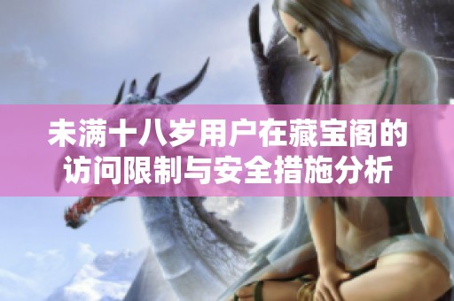 未满十八岁用户在藏宝阁的访问限制与安全措施分析