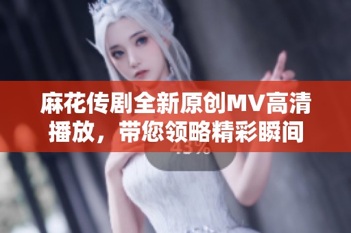 麻花传剧全新原创MV高清播放，带您领略精彩瞬间