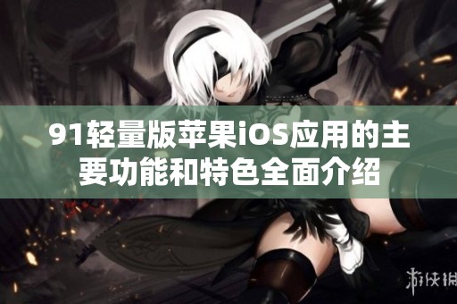 91轻量版苹果iOS应用的主要功能和特色全面介绍