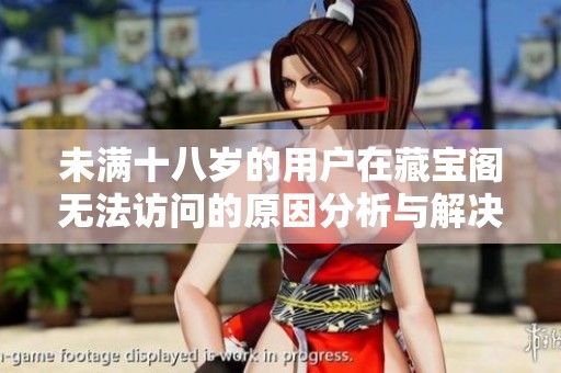 未满十八岁的用户在藏宝阁无法访问的原因分析与解决方案
