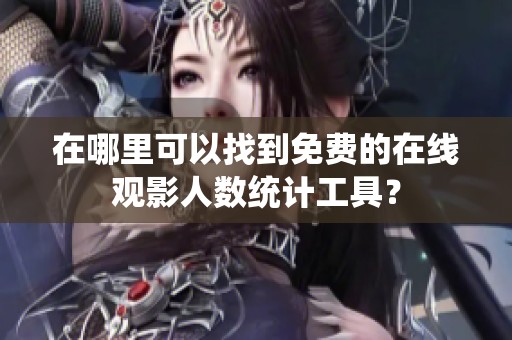 在哪里可以找到免费的在线观影人数统计工具？