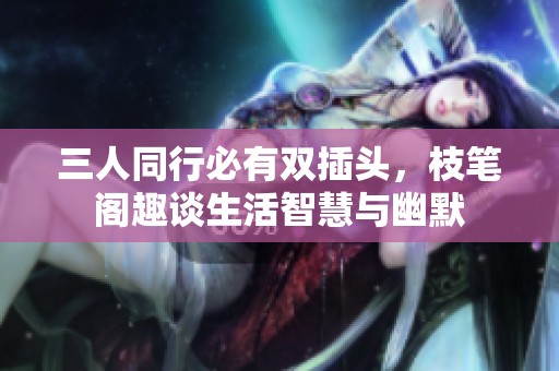 三人同行必有双插头，枝笔阁趣谈生活智慧与幽默