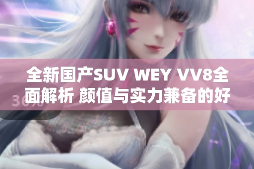 全新国产SUV WEY VV8全面解析 颜值与实力兼备的好选择