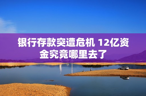 银行存款突遭危机 12亿资金究竟哪里去了